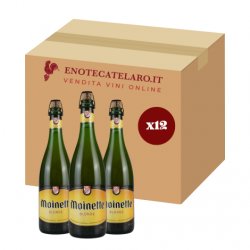 Dupont Moinette Blonde 8.5% 12x75cl - Enoteca Telaro.it