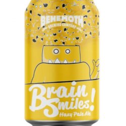 Behemoth Brain Smiles Hazy Pale Ale - Beer Store Australia