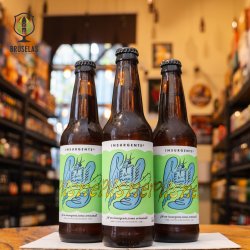 Cervecería Insurgente Insurgente Pilsner Cervecería Insurgente Insurgente Pilsner