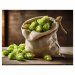 LÚPULO MAGNUM (2025) 14.2% A.A. BOLSA 5 kg (11 lb) 