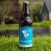 9 White Deer Stag Kolsch Case 12 x 500ml 9 White Deer Stag Kolsch Case 12 x 500ml