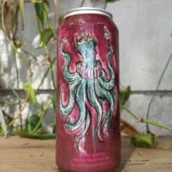 Lady Octopus - Craft Beer Shop Angers