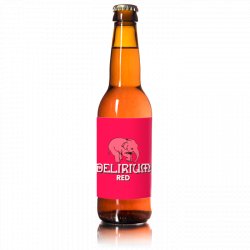 Huyghe Delirium Argentum 7% 24x33cl - Beercrush