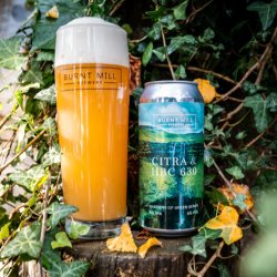 Burnt Mill - Gardens of Green: Citra & HBC 630 - 6% NE IPA - 440ml Can - The Triangle