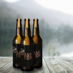 Gaster PACK 12 Honey Blonde Ale - Gaster