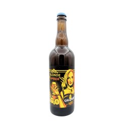 Gallivant Blonde Amber