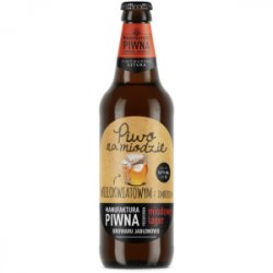 Browar Jabłonowo Piwo na Miodzie Wielokwiatowym z Imbirem Browar Jabłonowo Piwo na Miodzie Wielokwiatowym z Imbirem