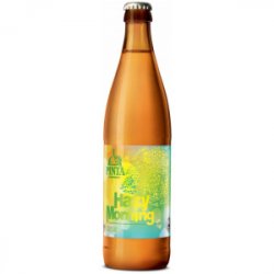 Browar PINTA Hazy Morning