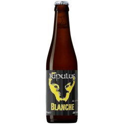 Blanche: birra artigianale di Lupulus  Maltese - Maltese