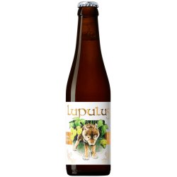 Blonde: birra artigianale di Lupulus  Maltese - Maltese