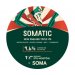 Stu Mostów  Somatic  New England Triple IPA 