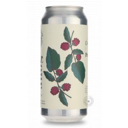 Crooked Stave Petite Sour Raspberry - Beer Republic