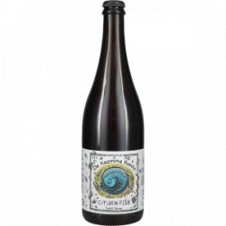 De Kromme Haring Citizen Fish Funky Saison - Drankgigant.nl