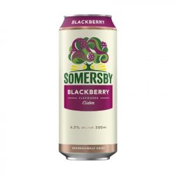 Somersby Blackberry Cider (500ml) - Castle Off Licence - Nutsaboutwine