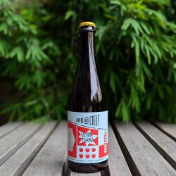 Brasserie Dieu du Ciel! Ultra Turbo