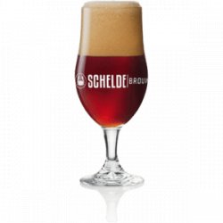 Schelde Proefglas 15cl (6 stuks) - Bierfamilie