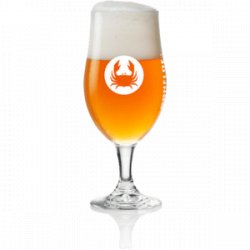 Schelde Glas 33cl (6 stuks) - Bierfamilie