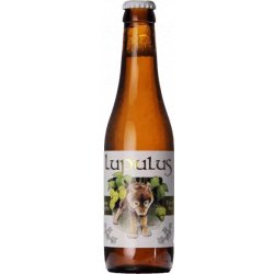 Lupulus Blonde Tripel 33 cl - Mister Hop