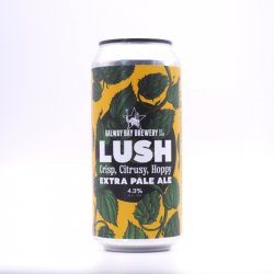 GALWAY BAY - LUSH - Une bière et Jivay