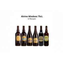 Alvinne Sour Mixdoos 75CL 6x75CL - Van Bieren