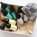 Braybrooke Gift Case Braybrooke Gift Case