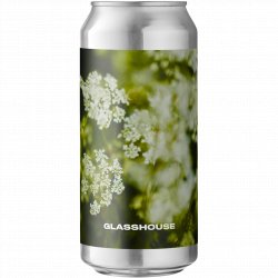 Glasshouse Beer Co - Lace - Left Field Beer