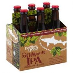 Dogfish 90 minute IPA 2412oz bottles - Beverages2u