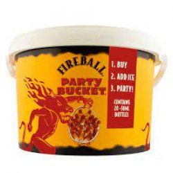 Fireball Party Bucket 20 pack 50 ml shots - Beverages2u