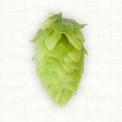 Deutschland Northern Brewer Pellets Typ 90 - Hopsteiner