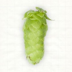 Deutschland Mandarina Bavaria Pellets Typ 90 - Hopsteiner