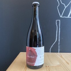 Ammonite Cuvée Matière X Distillerie MAZY - Carafons