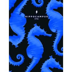 HIPPOCAMPUS - Mas IBUS