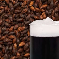 Malte Best Black Extra - Cerveja Artesanal