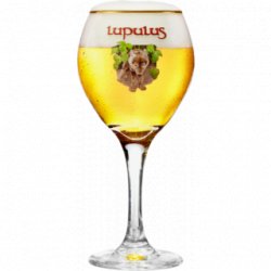 Coppa Lupulus - Cantina della Birra