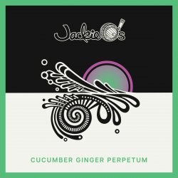 Jackie O’s Cucumber Ginger Perpetum - Jackie O’s Brewery