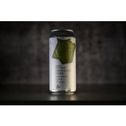 Trillium - Double Dry Hopped Franklin Park - addicted2craftbeer