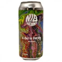 NIB Brewing  A Day In the Life 44cl - Beermacia