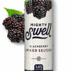 Mighty Swell Blackberry Spiked Seltzer 2412 oz cans - Beverages2u