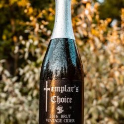 Templar’s Choice  Brut Vintage Cider (750ml) - The Cat In The Glass