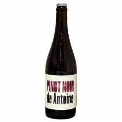 Pinot Noir de Antoine Cyclic Beer Farm                                                                                                  Sour Ale - OKasional Beer