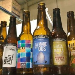Whym Tast de cervesa - Whym
