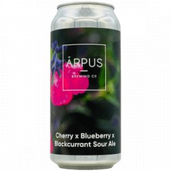 Ārpus Brewing Co.  Cherry x Blueberry x Black Currant Sour Ale - Rebel Beer Cans