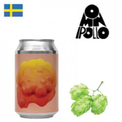 Omnipollo Fruit World Famous Raspberry Pie Sour 330ml CAN - Drink Online - Drink Shop