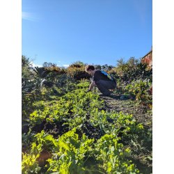 No-Dig Gardening with JJ Gladwin — Black Isle Brewery - Black Isle Brewery