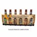 SIXPACK CERVEZA DE LOS MUERTOS VIDE 
