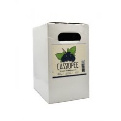 Multi-Brasses Cassiopée