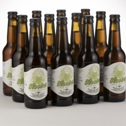 Pachet OLOVINA - India Pale Ale 12 Pack - Berero Store