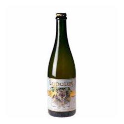 LUPULUS TRIPLE 8.5 ° 75 CL - Rond Point