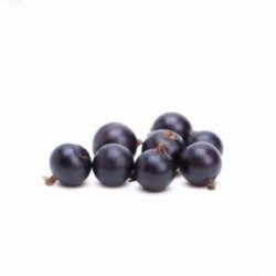 Saborizante Natural de Cassis x 1 Kg - Cibart