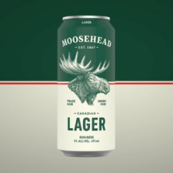 Moosehead Lager 12 oz can-12 pack - Beverages2u